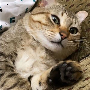 Meet your Posher, Carolyn